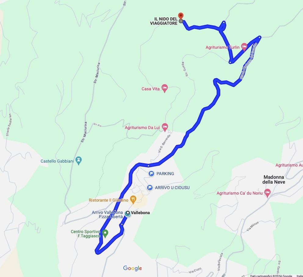 Il Nido Del Viaggiatore Vallebona Eksteriør billede